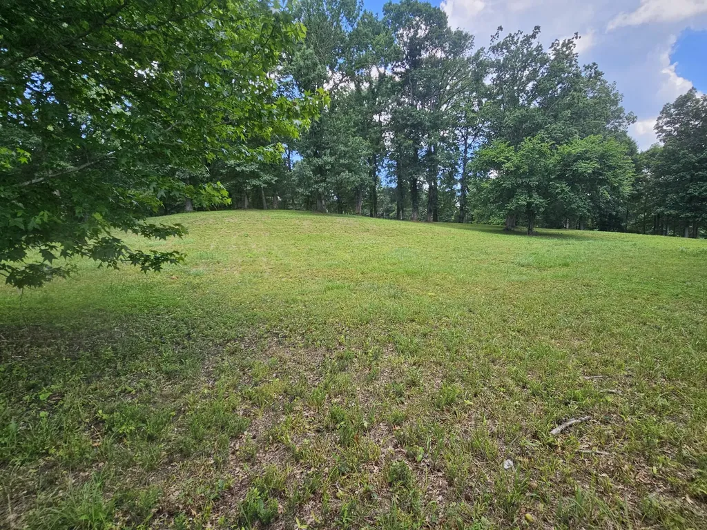 5 Island View Drive Bath Springs TN 38311
