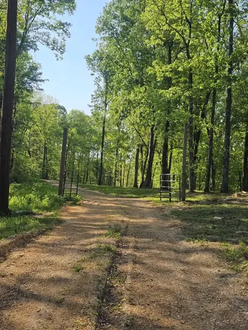 5 Island View Drive Bath Springs TN 38311