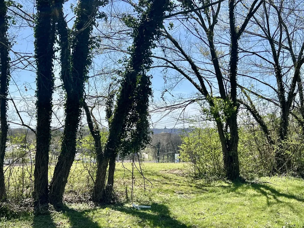 0 Lewisburg Highway Pulaski TN 38478