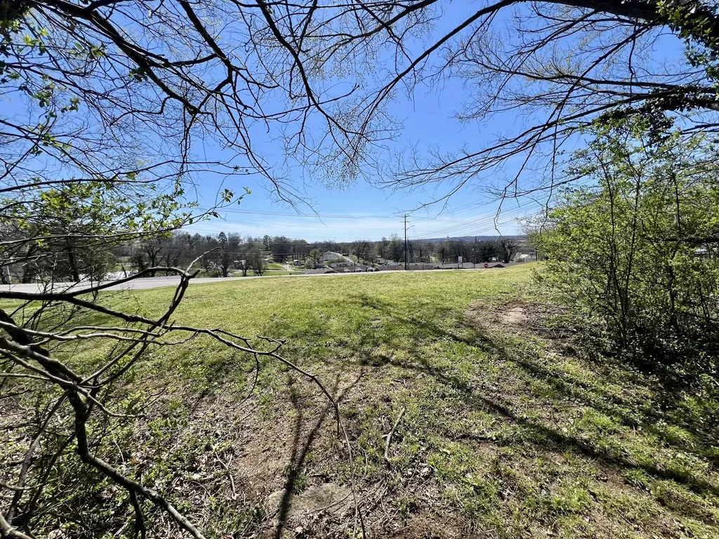 0 Lewisburg Highway Pulaski TN 38478