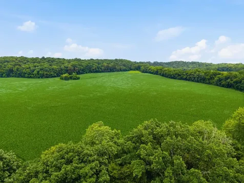 2214 Trieste Trail Adams TN 37010