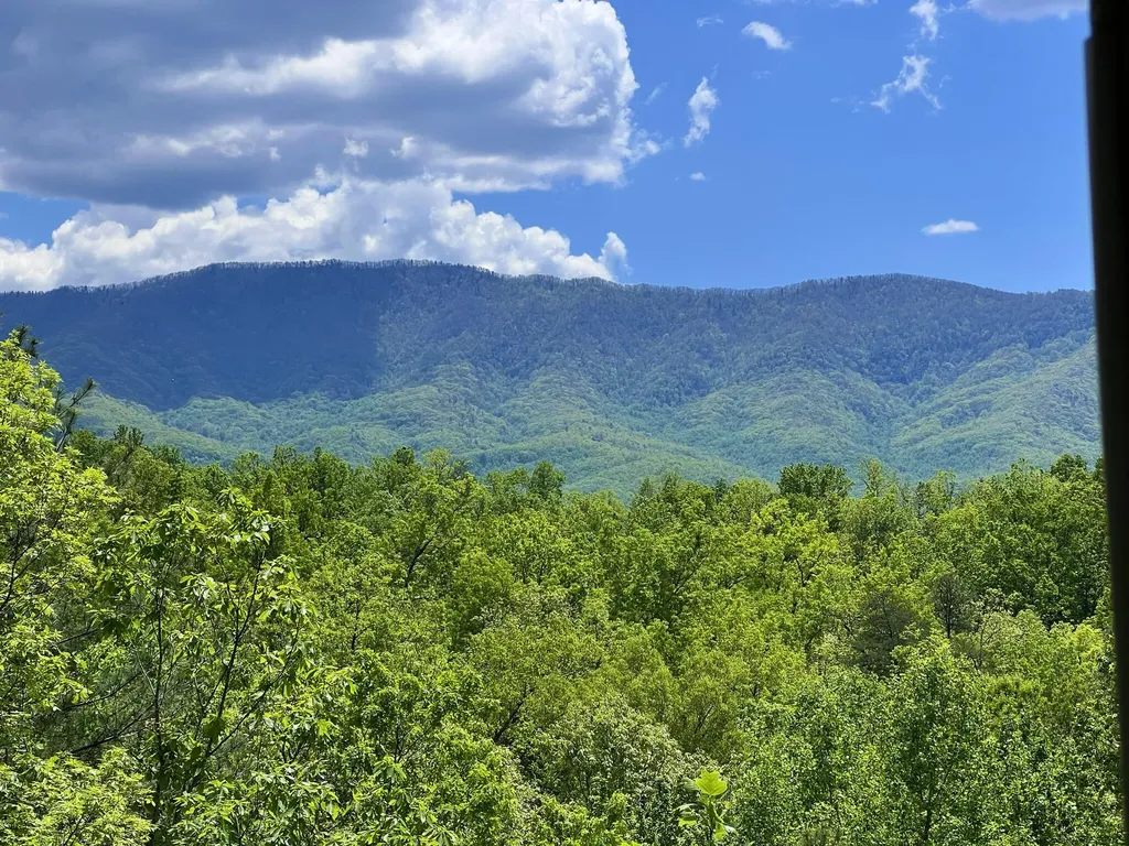 618 Big Bear Ridge Road Gatlinburg TN 37738