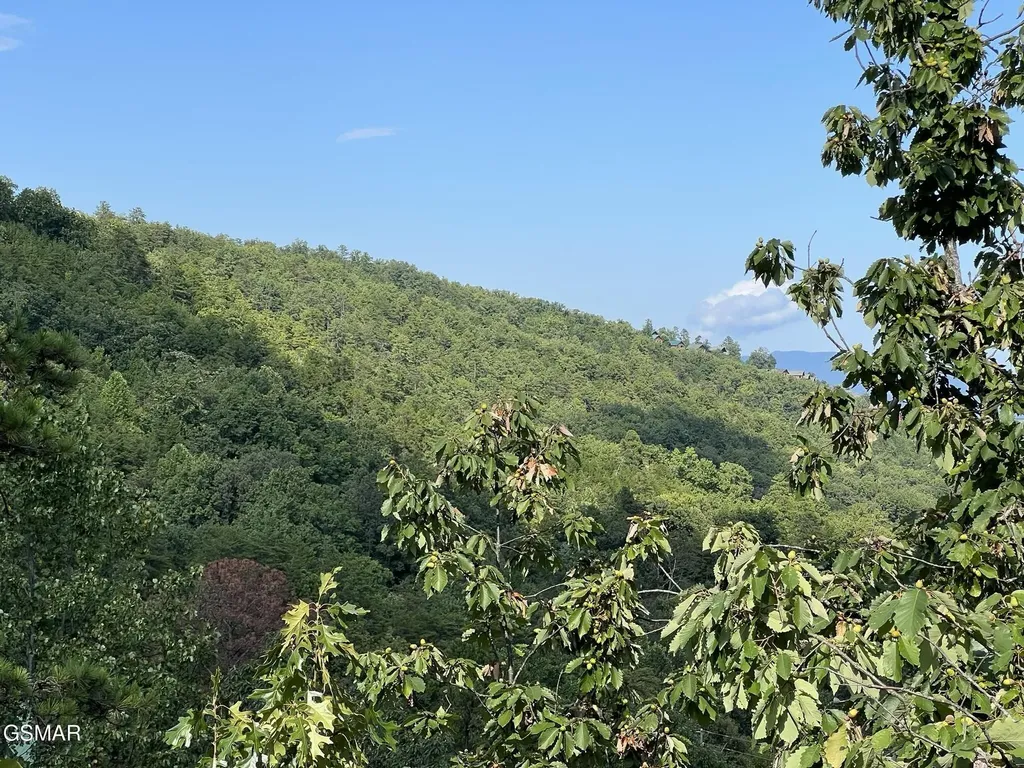 2251 Upper Middle Creek Road Sevierville TN 37876