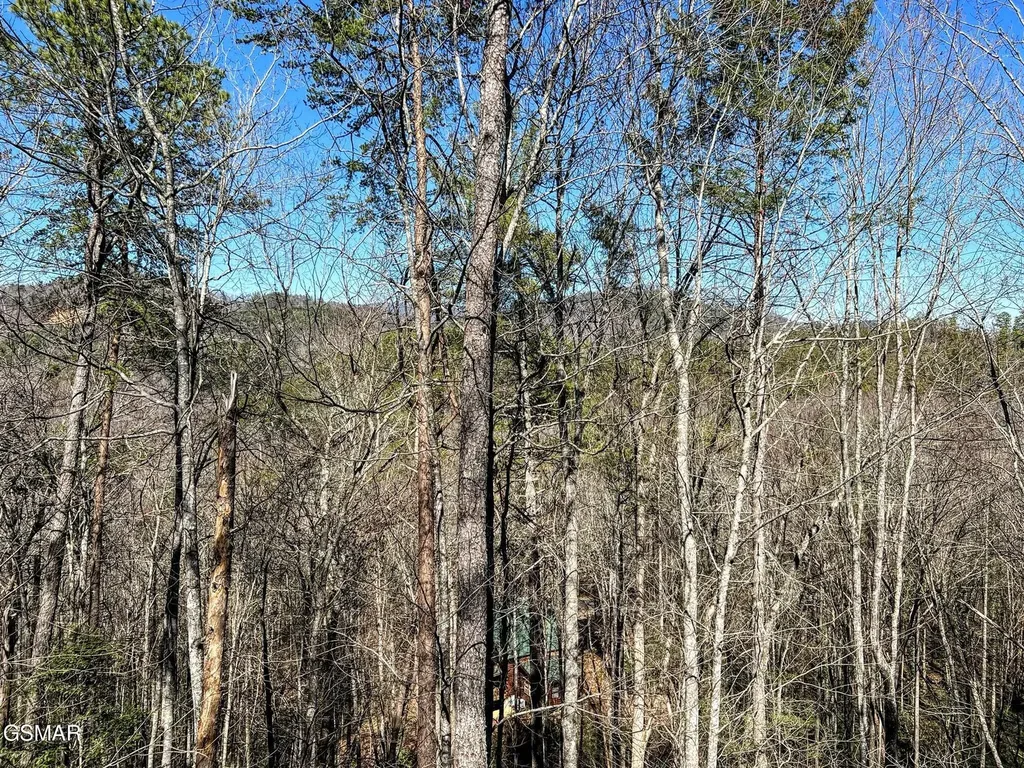 3035 Brothers Way Sevierville TN 37862