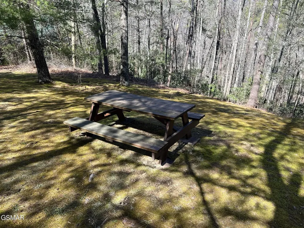 3035 Brothers Way Sevierville TN 37862