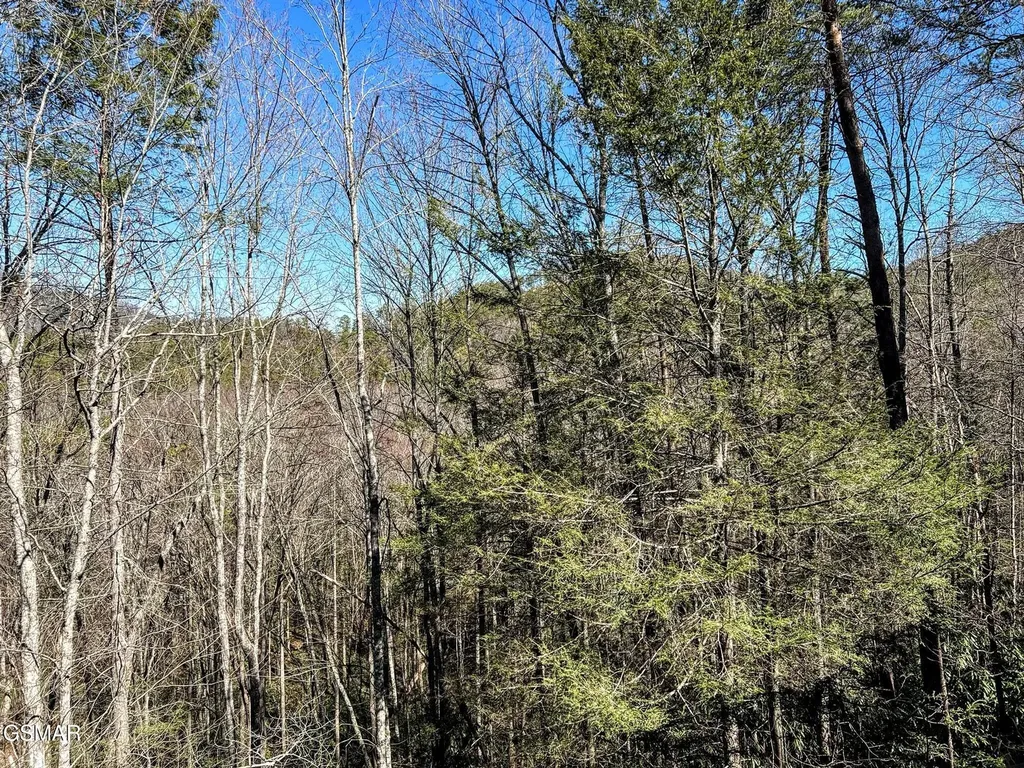 3035 Brothers Way Sevierville TN 37862