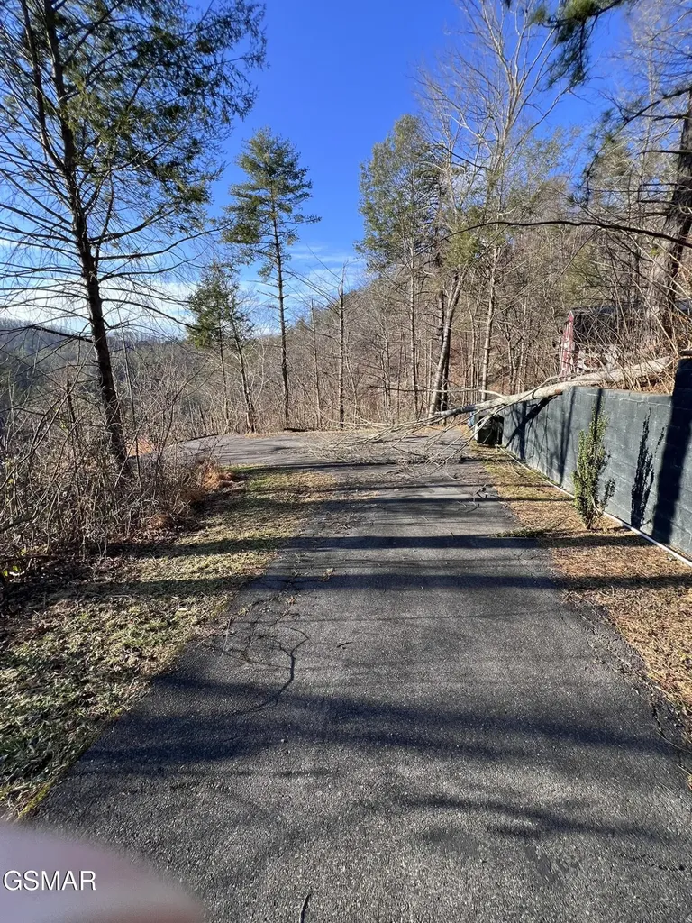 2333 Willow Lane Sevierville TN 37862