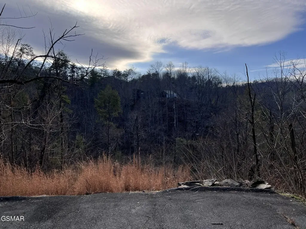 2333 Willow Lane Sevierville TN 37862