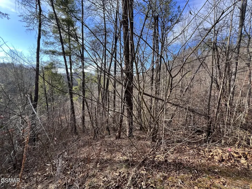 2331 Willow Lane Sevierville TN 37862
