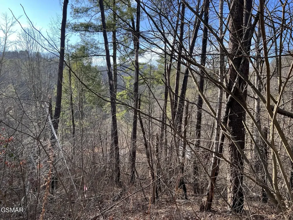 2331 Willow Lane Sevierville TN 37862