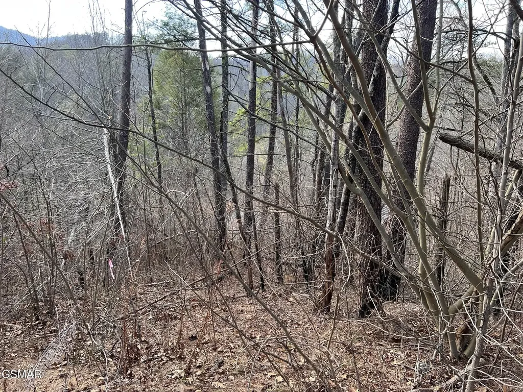 2331 Willow Lane Sevierville TN 37862