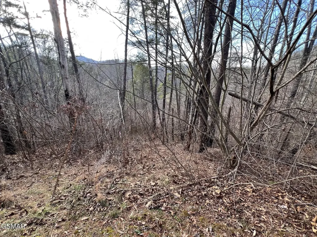 2331 Willow Lane Sevierville TN 37862