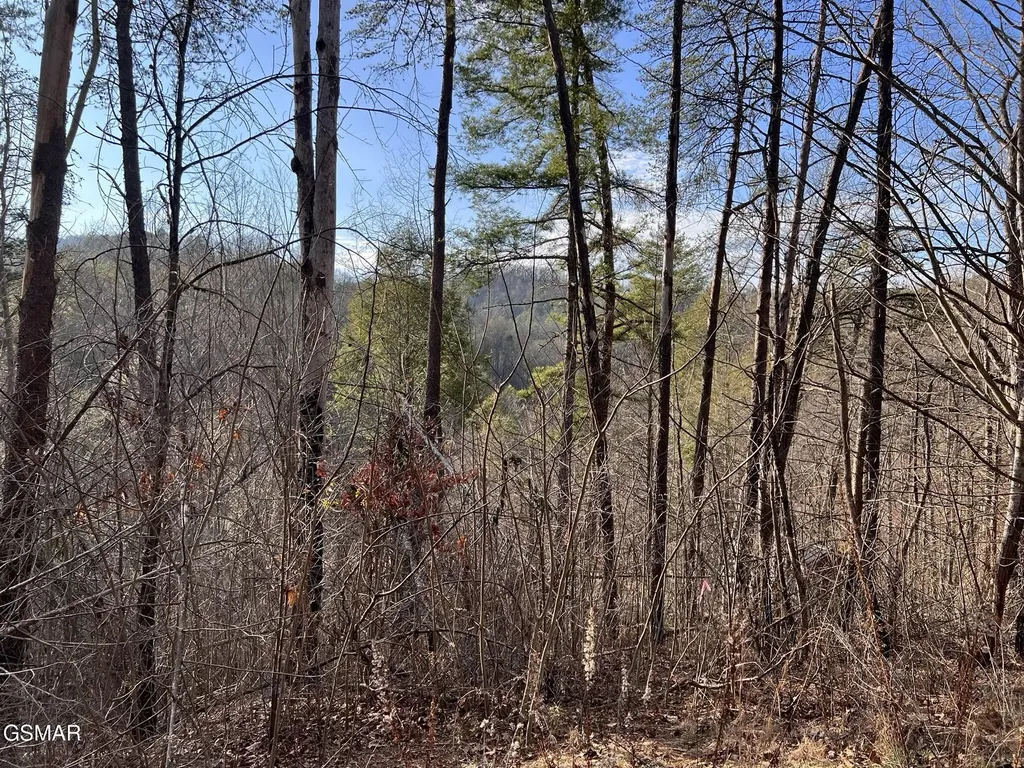 2331 Willow Lane Sevierville TN 37862