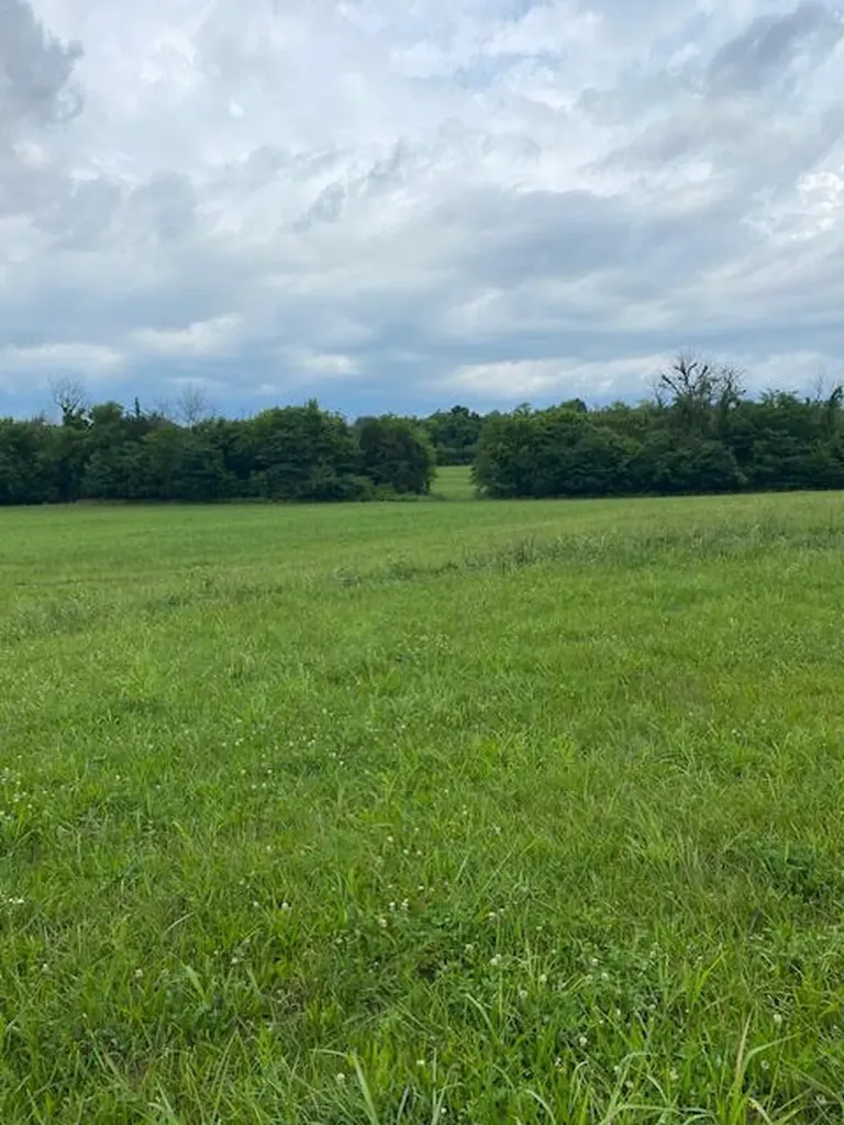 0 Lees Creek Road Fayetteville TN 37334