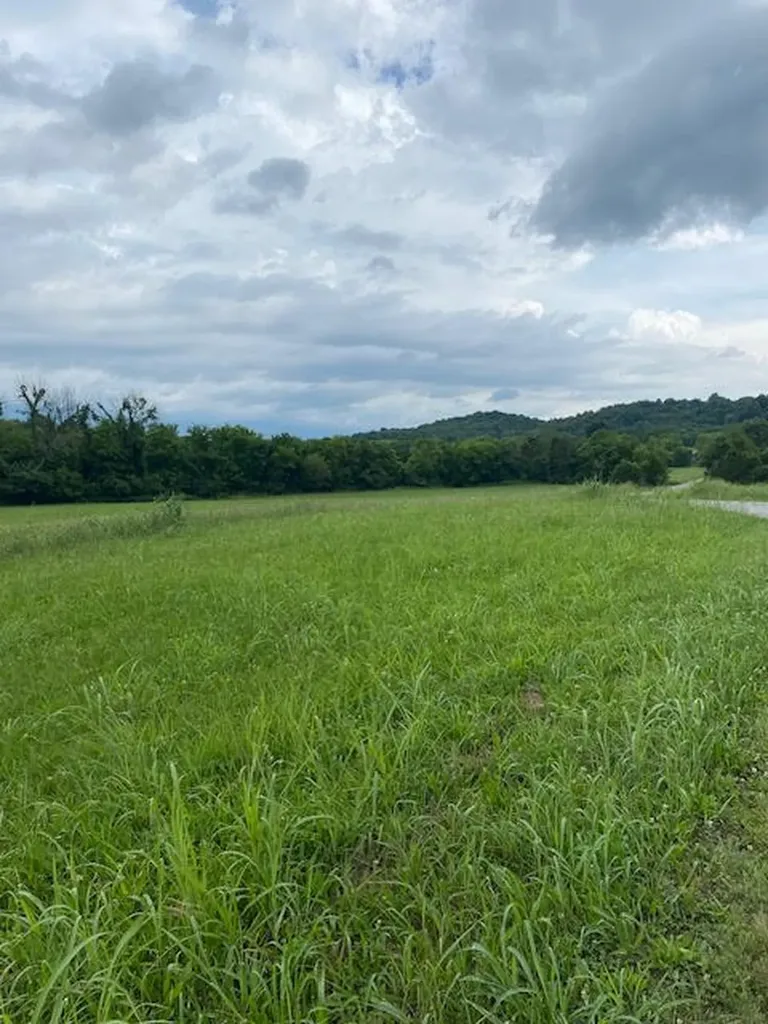 0 Lees Creek Road Fayetteville TN 37334