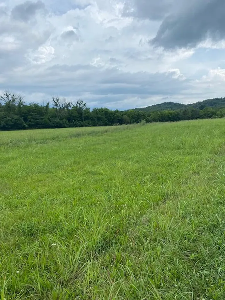 0 Lees Creek Road Fayetteville TN 37334