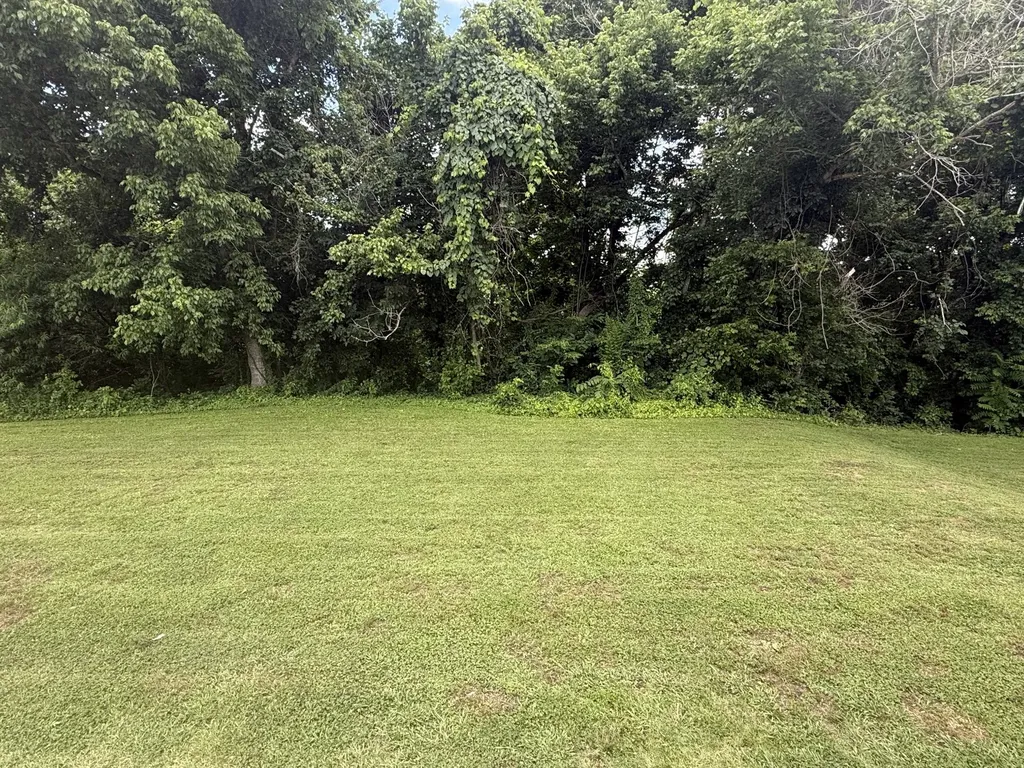 0 Clear Creek Circle Pulaski TN 38478