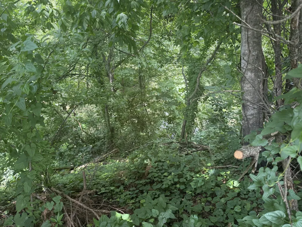 0 Clear Creek Circle Pulaski TN 38478