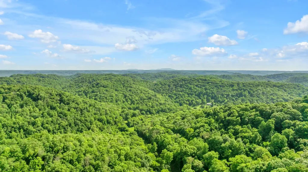 16600 Center Hill Dam Road Silver Point TN 38582