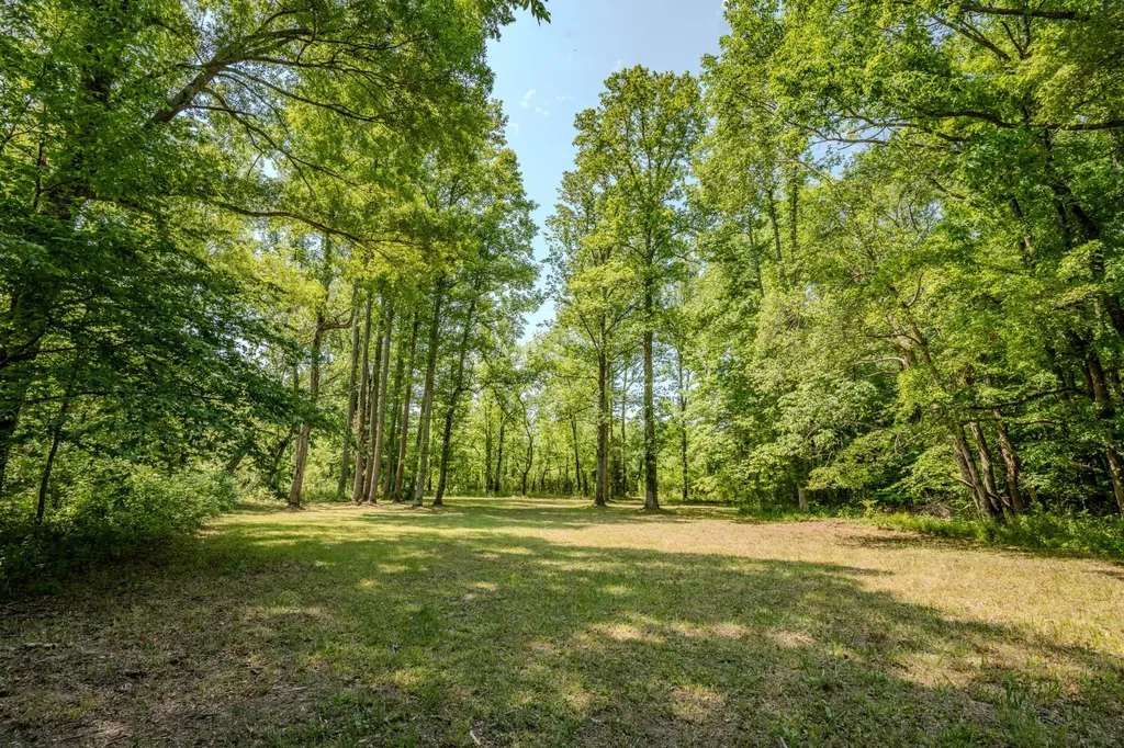 199 Liles Lane Lutts TN 38471