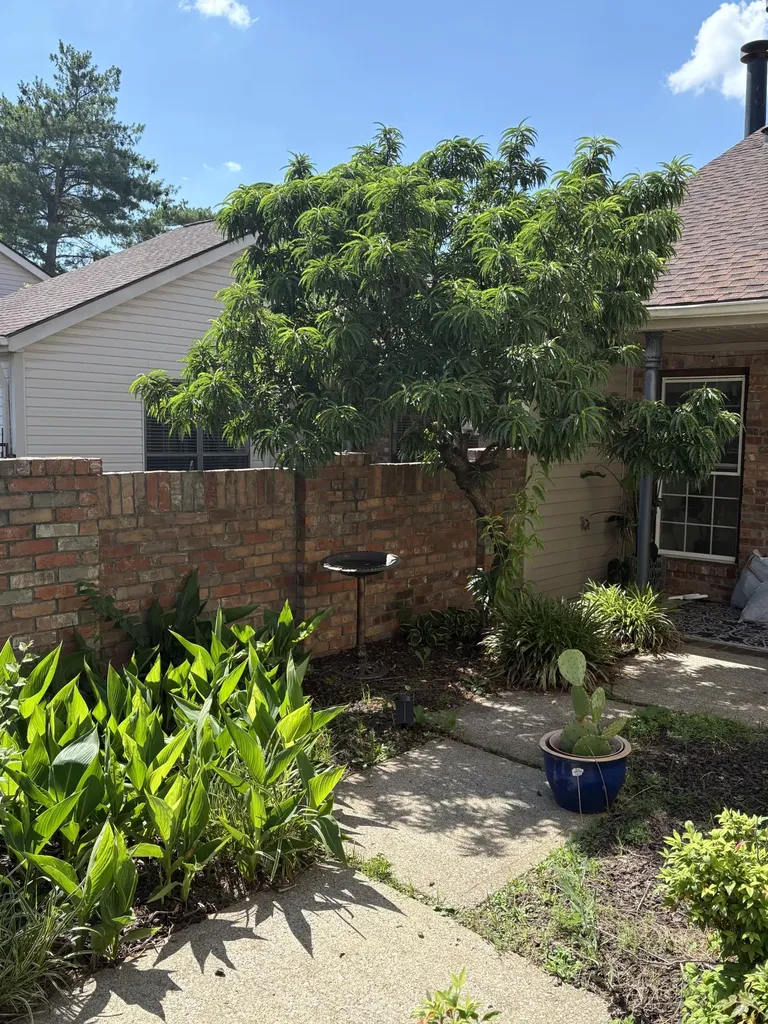 404 Laurel Hill Drive Old Hickory TN 37138
