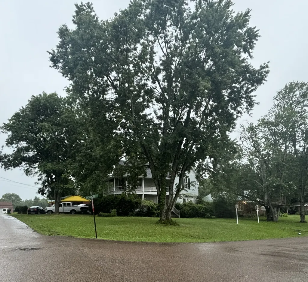223 Sycamore Street Whiteville TN 38075