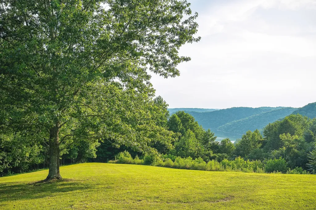 11720 Fox Hill Road Baxter TN 38544