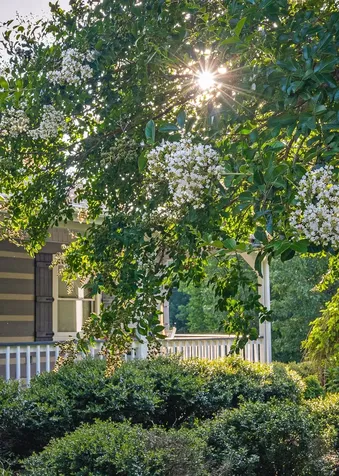 11720 Fox Hill Road Baxter TN 38544