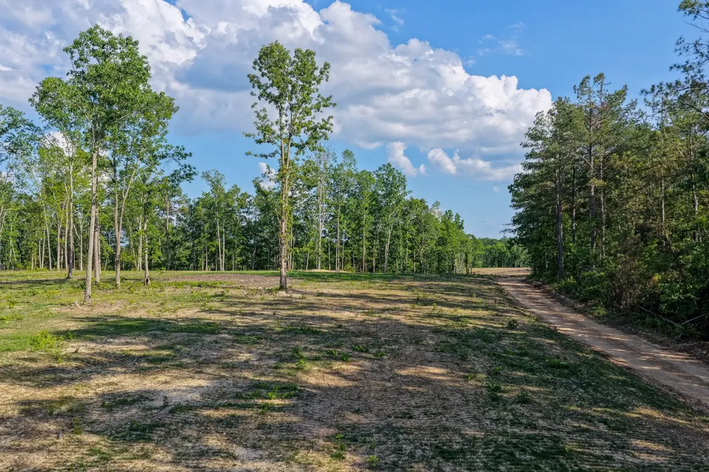 0 Firetower Road Centerville TN 37033
