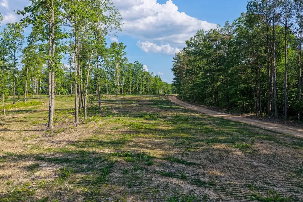 0 Firetower Road Centerville TN 37033