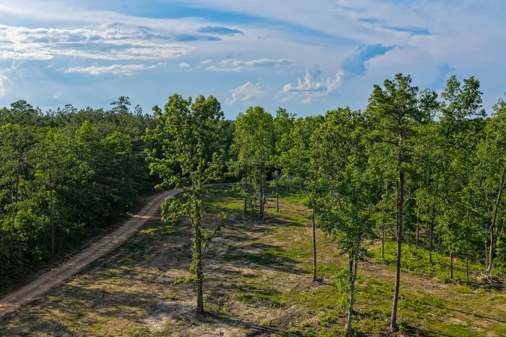 0 Firetower Road Centerville TN 37033