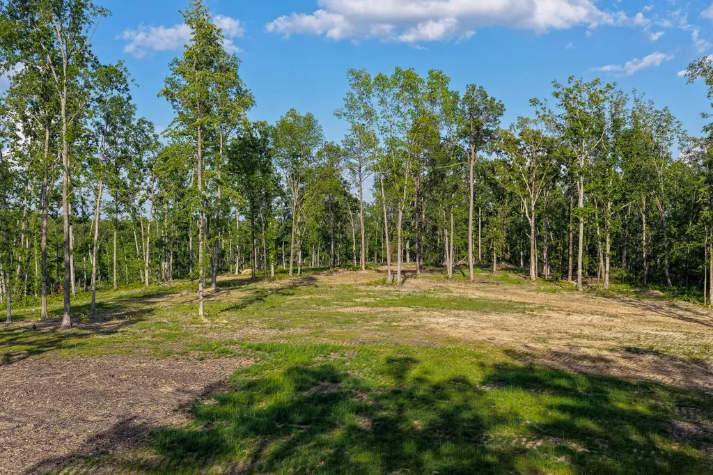 0 Firetower Road Centerville TN 37033