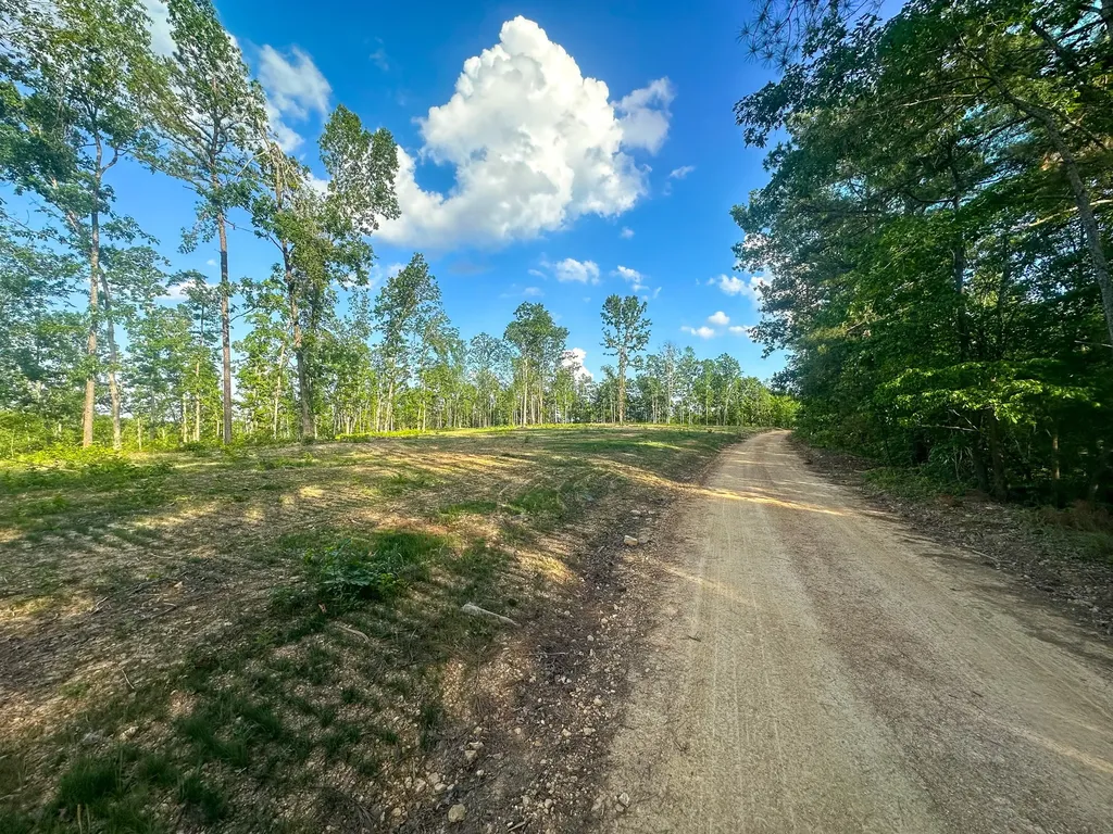 0 Firetower Road Centerville TN 37033