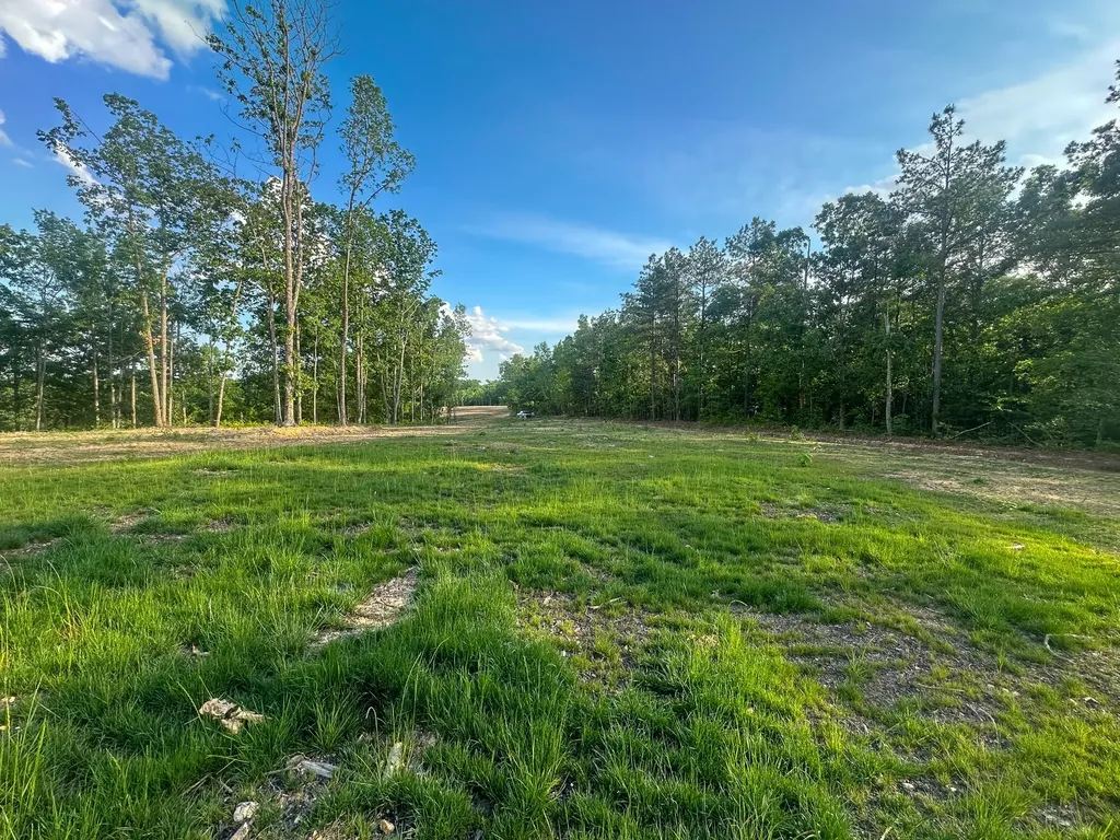 0 Firetower Road Centerville TN 37033