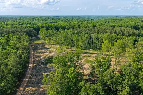 0 Firetower Road Centerville TN 37033