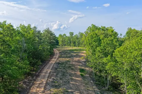 0 Firetower Road Centerville TN 37033