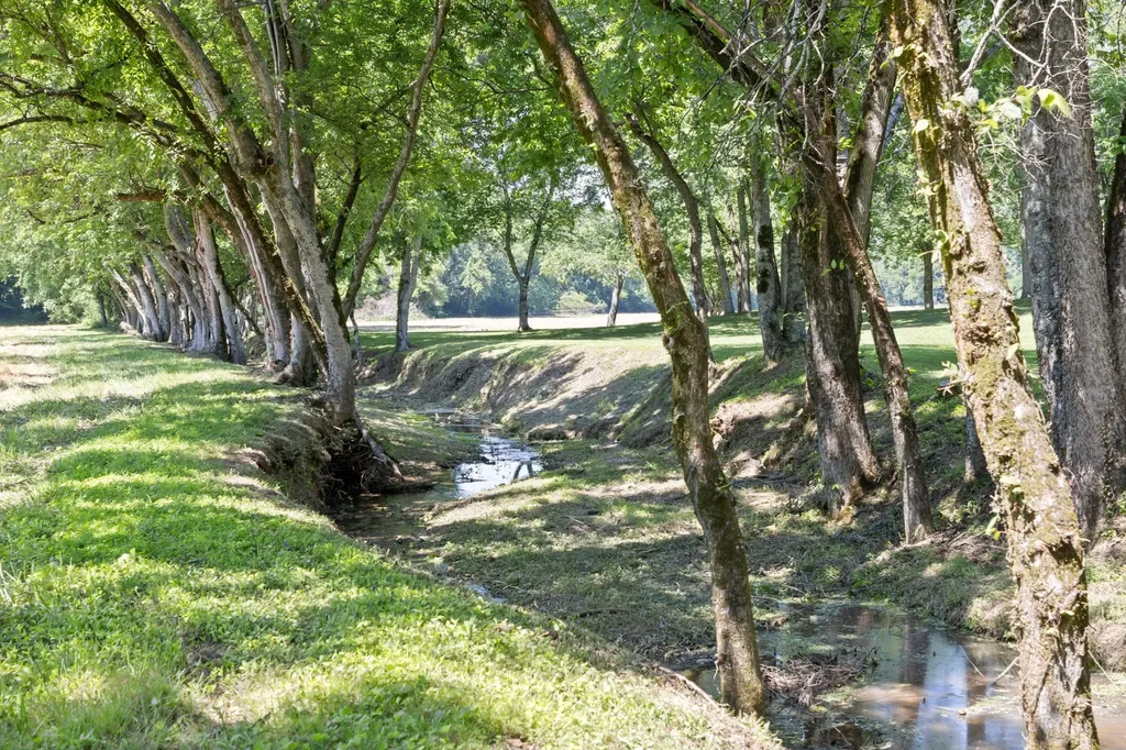 7212 Indian Creek Road Nashville TN 37209