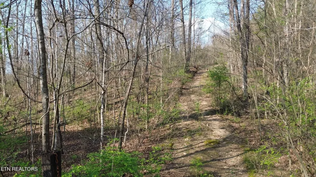 0 County Road 860 Delano TN 37325