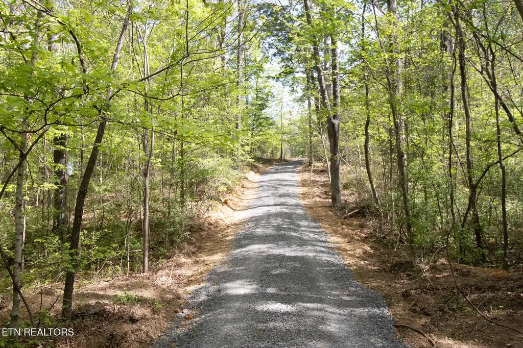 0 County Road 860 Delano TN 37325