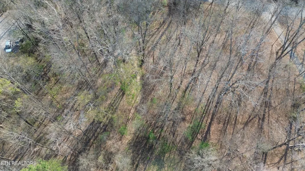 0 County Road 860 Delano TN 37325