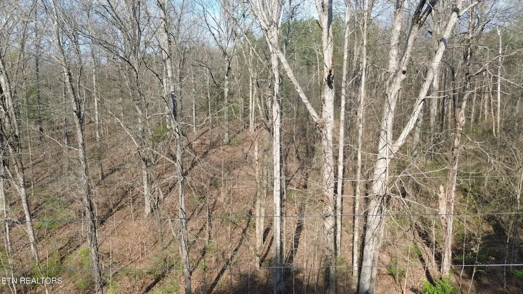0 County Road 860 Delano TN 37325