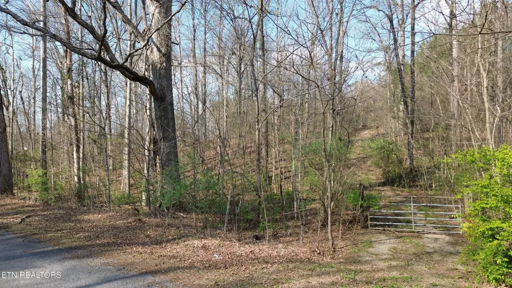 0 County Road 860 Delano TN 37325