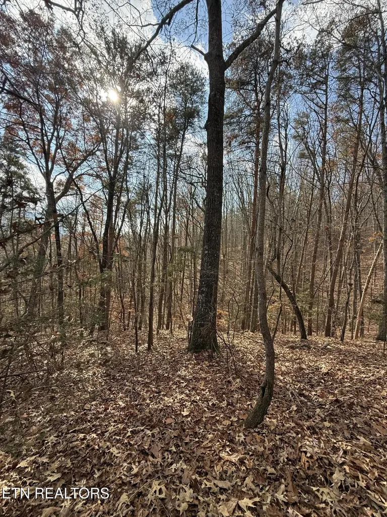 1 Parksville Road Benton TN 37307