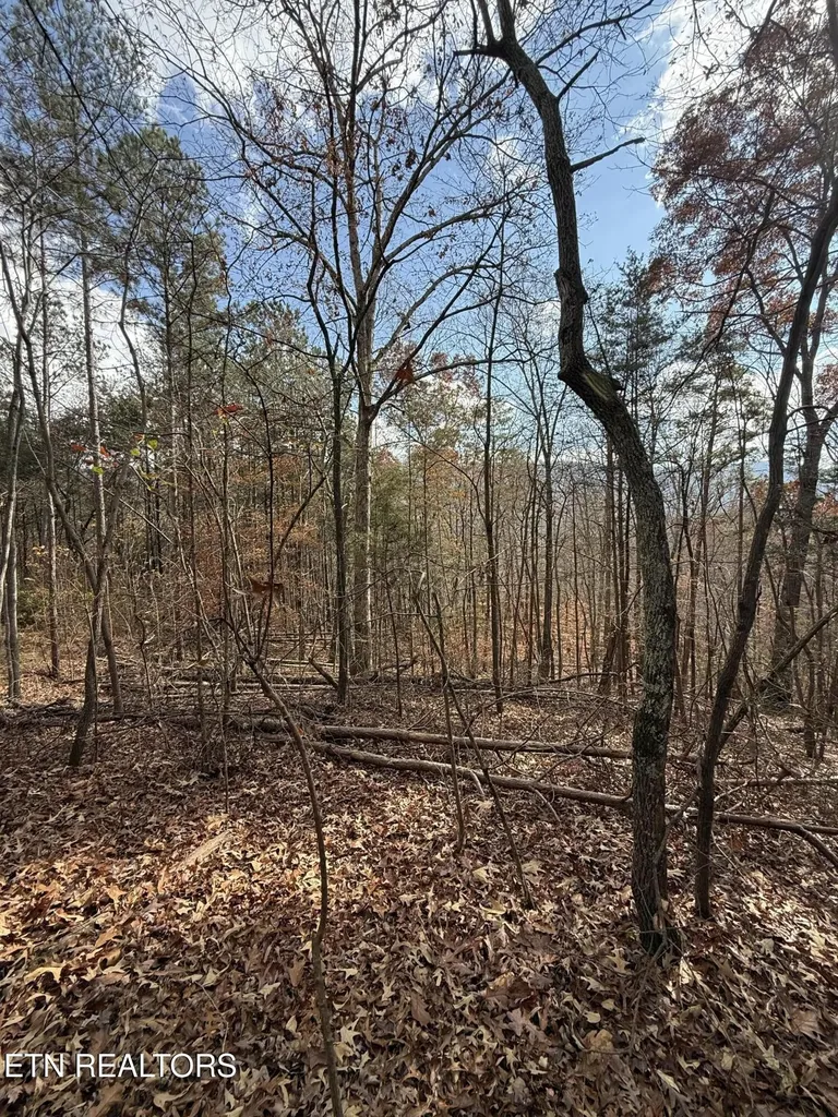 1 Parksville Road Benton TN 37307