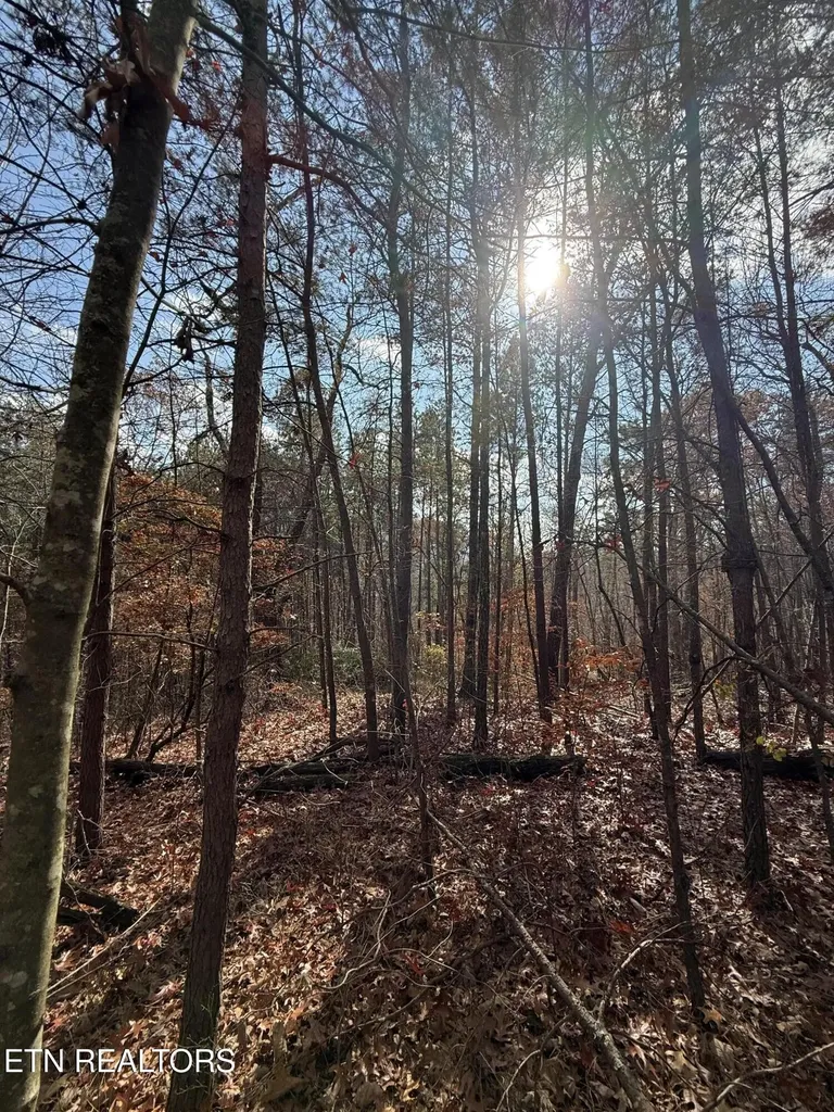 1 Parksville Road Benton TN 37307