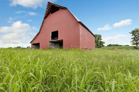597 Prices Mill Road Adairville KY 42202