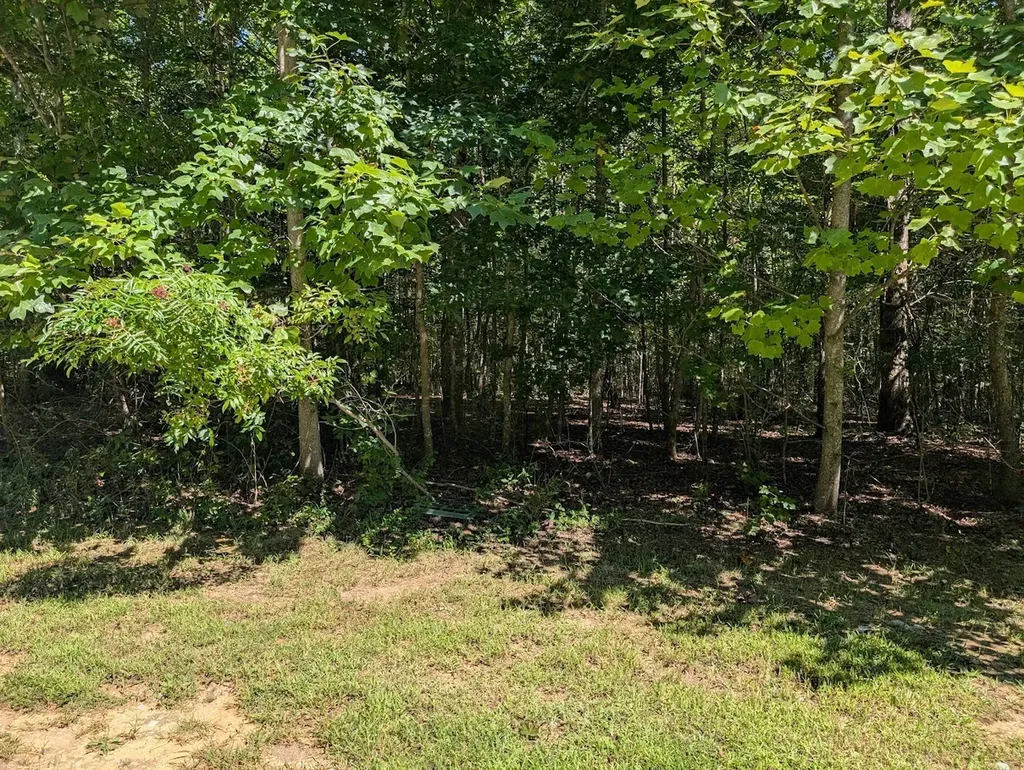 140 Sunset Bluff Way Monteagle TN 37356