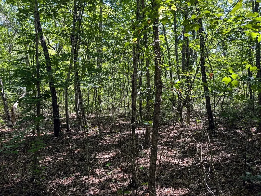 140 Sunset Bluff Way Monteagle TN 37356
