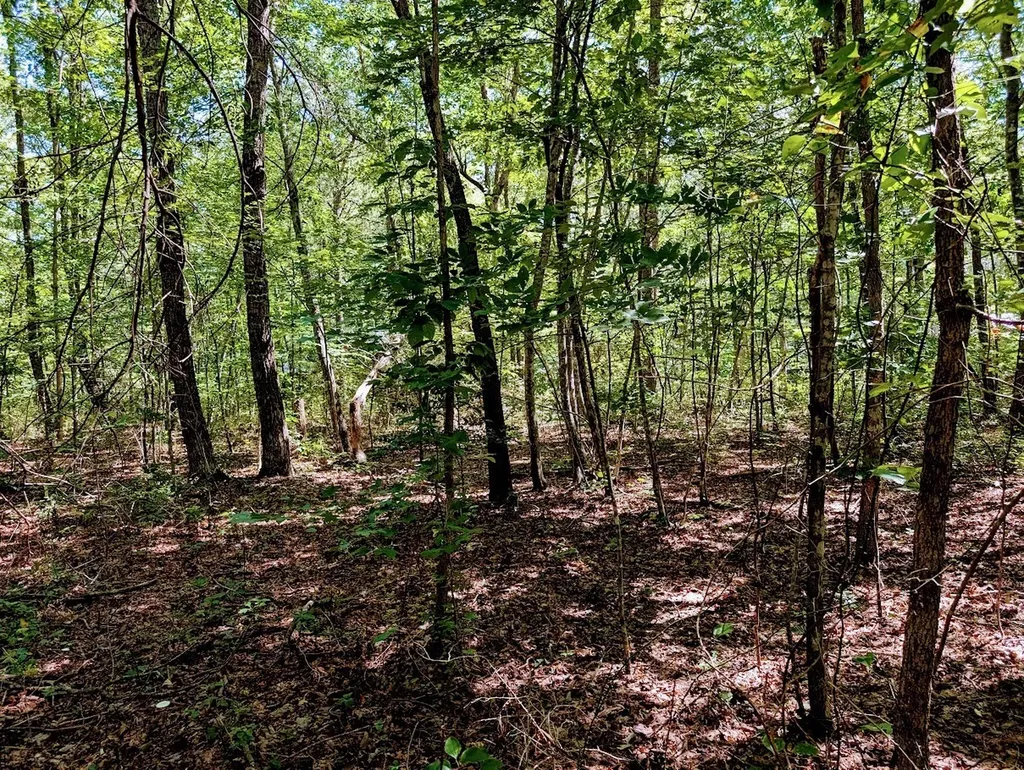 140 Sunset Bluff Way Monteagle TN 37356
