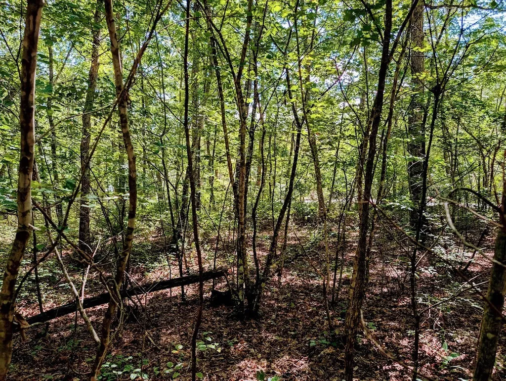 140 Sunset Bluff Way Monteagle TN 37356